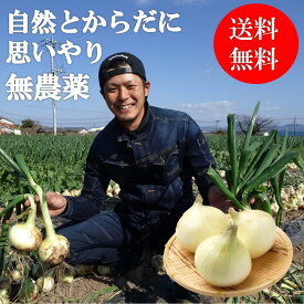 玉ねぎ 新玉ねぎ 長崎県 北海道 愛知県 京都 奈良 訳あり 2kg 送料無料 (北海道・沖縄は除く） 無農薬 有機栽培 たまねぎ タマネギ オーガニック 野菜 ギフト 新たまねぎ