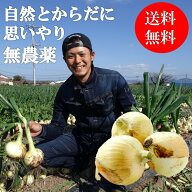 玉ねぎ 玉ねぎ 長崎県 北海道 愛知県 京都 奈良 訳あり 2kg 送料無料 (北海道・沖縄は除く） 無農薬 有機…