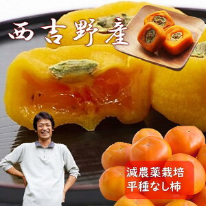 ۊ` 3 210g   ` ` hCt[c Y ޗ g 