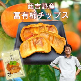 ドライフルーツ 柿チップ 2袋(40g×2) 柿チップス 富有柿 減農薬 干し柿 無添加 送料無料 奈良 西吉野 おやつ 干柿 国産 買い回り フルーツ 果物 食品 おやつ 砂糖不使用 ワイン おつまみ