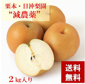  2kg K L H 쐅 \I ikCEꏜj 󂠂 ƒp t[c ʕ ԗ a Mtg
