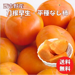 ` ޗǌY g ` ˂Ȃ` 4kg Ȃ 킹` 󂠂 ƒp (kCEꏜ) 햳 ˂Ȃ  t[c H ʕ _͔| 蕨 Mtg