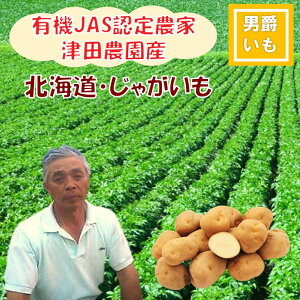  kC _ Ⴊ j݂ 4kg L@JASF_  ϕ Mtg 蕨 RbP