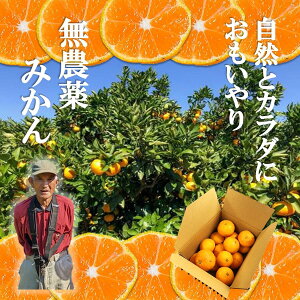 y\t 2025N11{oׁz ݂ 󂠂2kg (kCEꏜ) _ ~J L@엿 \ 킯 B݂ Q݂ ݂ m[bNX IW ƒ