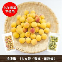 楽天市場】白加賀 梅 無農薬の通販
