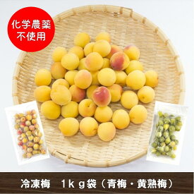 【冷凍梅】 南高梅 白加賀 無農薬 1kg 化学合成農薬無使用 訳あり 大小混合 黄熟 有機肥料 奈良県 生梅 冷凍梅 梅酒 梅干 梅シロップ 梅酢 梅ドリンク 梅ジュース 手作り 梅 産地直送 国産 シロップ ジャム 安心 安全 美容 健康 数量限定 送料無料(北海道・沖縄除く）