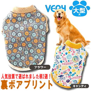   ^   H~ very {AvgTVc 킢 hbOEFA ybg ~ j̎q ̎q 킢  ̕     ~  v[g ObY E