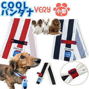   ^    2WAYo_i S MTCY G炵ė₽N[f p Ђ COOL very 킢 hbOEFA ybg Ή j̎q ̎q 킢  ĕ ΍ ̕ 