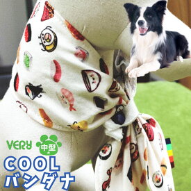 【50％OFFクーポン】犬 夏 クールバンダナ 送料無料 犬 服 保冷剤付 中型犬 大型犬 犬用猫用 対策 首 ひんやり 冷却 クール COOL つめたい 散歩 男の子 女の子 かわいい 夏 暑さ対策 犬の服 部屋着
