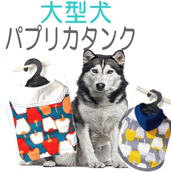 楽天市場 犬服 大型犬 犬 服 Very パプリカタンク かわいい ドッグウェア ペット あす楽対応 タンクトップ 動きやすい 月間優良ショップ セール クーポン有 犬服 ユウランプ