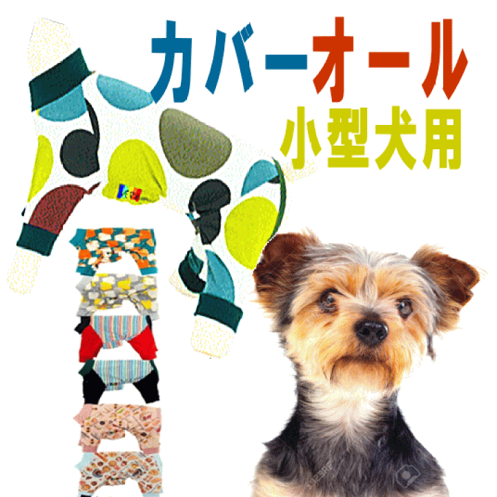 楽天市場 カバーオール 小型犬 犬 犬服皮膚病 抜け毛対策 ドッグウェアvery ベリー 長袖 足つき ポッキリ送料無料 ポイント消化 術後服 犬服つなぎ 月間優良ショップ セール クーポン有 犬服 ユウランプ