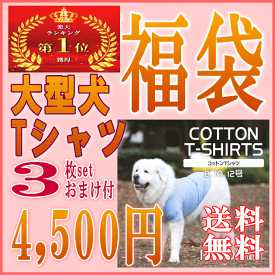 楽天市場 福袋 犬用品 ペット ペットグッズ の通販
