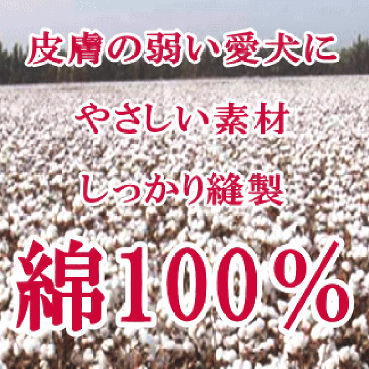 楽天市場 大型 犬服 コットン Tシャツ 綿100 8号 10号 12号 Very ランキング1位 ドッグウェア Giftbox入り抜け毛対策犬の服veryベリー ブランド 犬 の 服 かわいい 着せやすい犬の服 春 夏 動きやすい 着やすい 月間優良ショップ クーポン有 犬服 ユウランプ