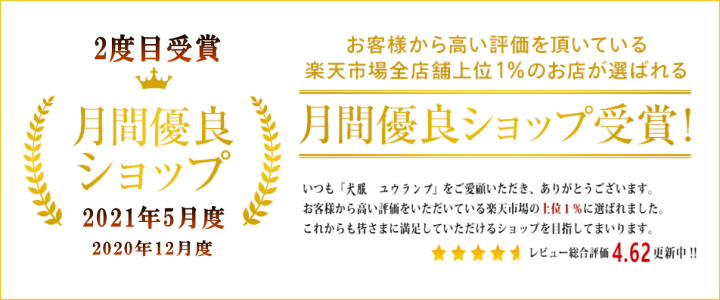 楽天市場】ウォールランプ 1灯 クラシカル 豪華 壁 照明 アンティーク