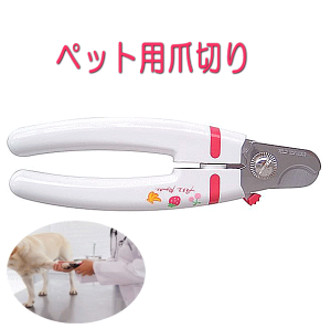 pi ܐ؂ lCg}[ RpNg ƒp ߂ ybc[g ybgpܐ؂ PApi R v[g ObY Ev