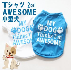 y |bL1000~z   ^ TVc AWESOME  p  ybg p ybgp   hbO t  H  킢 IV  j̎q ̎q 킢  