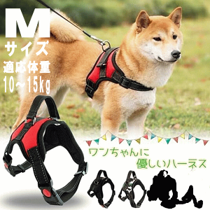  n[lX  ^ MTCY UObY  UObY ybg  U v[g ObY [h Ev