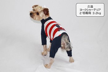 犬服小型犬カバーオール犬服very盲導犬サポートカバーオール綿100%コットンかわいいドッグウェアペット【あす楽対応】