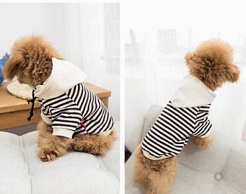犬服小型犬中型犬ボーダーフード付きパーカートレーナードッグウェアー【メール便で送料無料】