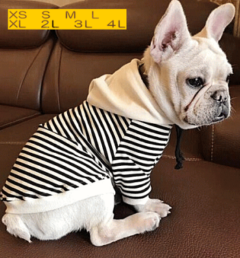犬服小型犬中型犬ボーダーフード付きパーカートレーナードッグウェアー【メール便で送料無料】