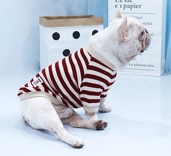 犬服小型犬中型犬長袖ボーダーシャツかわいい【あす楽対応】犬服かわいいペット
