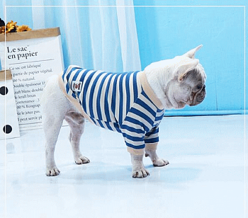 犬服小型犬中型犬長袖ボーダーシャツかわいい【あす楽対応】犬服かわいいペット