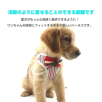 犬ハーネス小型犬中型犬ハーネスリードセットベスト脱げない取り外し簡単コサージュ×ストライプ柄かわいいおしゃれ【メール便対応】【あす楽対応】