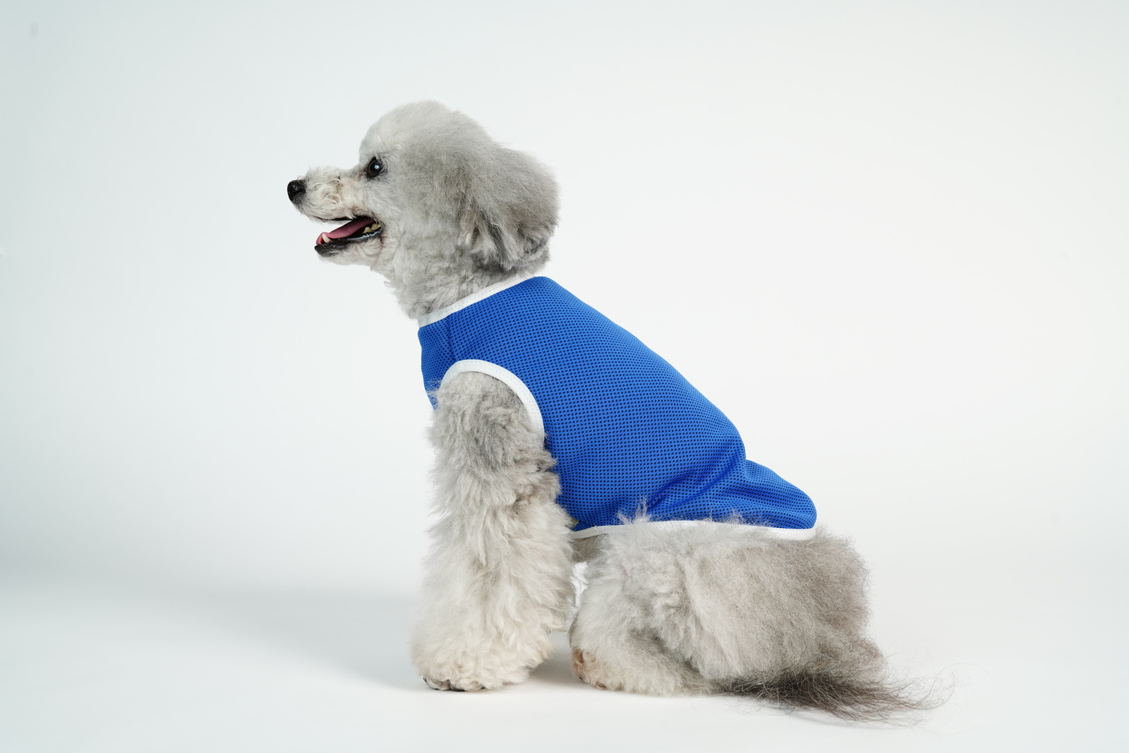犬服 FULL COOL タンクトップ メッシュ 犬 服 春 夏 小型犬 ひんやり 冷却 クール 気化熱 冷却 暑さ対策 散歩 熱中症対策  フルクールひんやりグッズ 月間優良ショップ セール クーポン有 | 犬服　ユウランプ