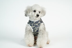   ^  FULL COOL ^Ngbv Jt[W bV   N[ Ђ p N[ CM p tN[ЂObY j̎q ̎q 킢  