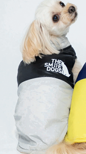   ۉ_ExXg H~ pipi t[X A~V[g DOGS OUTDOOR CAMPERS AEghA Lv {^ ₷ L ̕     ~  v[g ObY Ev 