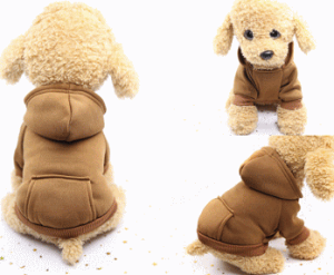   H~  p[J[ g[i[ t[h|Pbgt N ^ ybg   ̎q j̎q  H~    Vv t[X |Cg g ~  