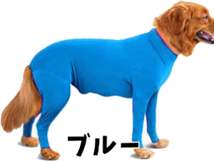   Jo[I[ p[X p㕞 p Xgb`f EȒP `bNt ^ ^ ^   j̎q ̎q 킢 H~  L ̕    ~  v