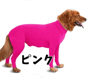   Jo[I[ p[X p㕞 p Xgb`f EȒP `bNt ^ ^ ^   j̎q ̎q 킢 H~  L ̕    ~  v