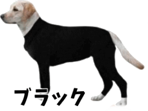   Jo[I[ p[X p㕞 p Xgb`f EȒP `bNt ^ ^ ^   j̎q ̎q 킢 H~  L ̕    ~  v