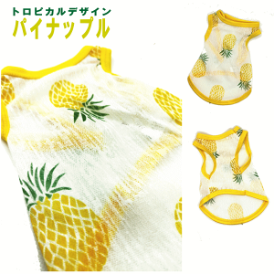   ^Ngbv hbOEFA K[[ ^ ё΍ V[X[ ɔ 킢 ̕   ₷  j̎q ̎q 킢     ΍ v[g Ob