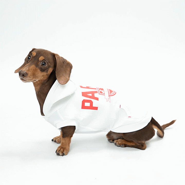 犬服・アクセサリー youyu2 楽天市場】50%OFF! 犬 服 小型犬 a.v.v スエットパーカー 送料