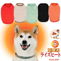 楽天市場】犬 服 7号の通販