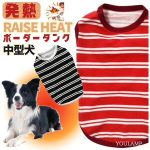 ^  ~ CYq[g {[_[^Ngbv Mf ^   ObY hbOEFA̕    ~  v[g ObY Ev AE^[