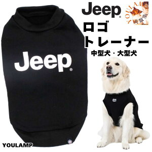   H~ g[i[ JEEP  Sg[i[ ^ ^  N Ȃ ^Ngbv h  U  Ev AE^[