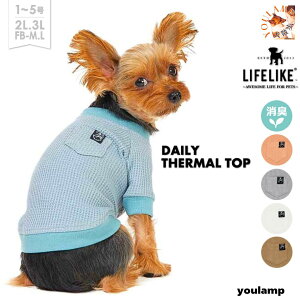   LIFELIKE fC[T[}gbv  L 1-52L-3LFB ^N ^ ^   t  H ~ ʔN d˒ Vv  ̕