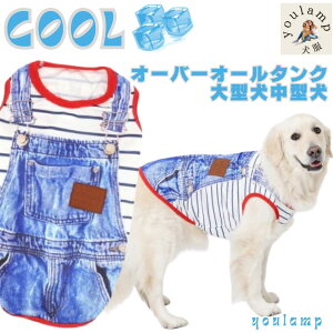  ĕ N[ ^Ngbv ^ ^ I[o[I[^N   N[ Ђ p COOL ڐG⊴ j̎q ̎q 킢 