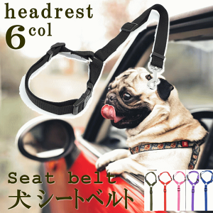 y |bL1000~z   V[gxg ybg wbhXg t [h ^/^ S6F ̃[h ybgpV[gxg ԗp[h Sxg h~ яoh~