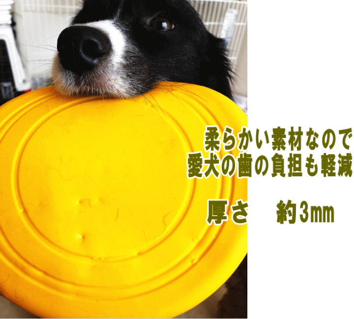 楽天市場】フリスビー 10枚 犬 フライングディスク 柔らかい