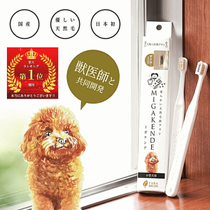  uV ^ ~KPf A YVR _炩 VR uV L΍ a΍ p ԗDǃVbv ݂ N[|Ly[֑Ήz v[g ObY E