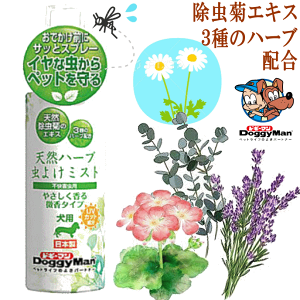  悯~Xg100ml hM[}  Xv[ VRn[u h UVJbg ^Cv S 悯pi v[g ObY Ev