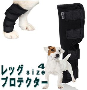 y |bL1000~z  T|[^[ 둫 ֐  p bOT|[^[ bO veN^[ p GT|[^[ _ Ђ ЂT|[^[  h~ Lv o