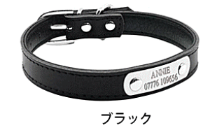    v ^ ^ O dbԍ O v[g q IWiU[J[3F p XS`MTCY 󖳗T[rX 󒍐Yi [J[i v[g ObY 