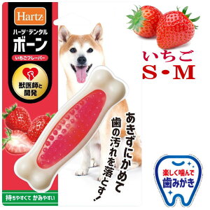   n[cf^ {[  t[o[ S M ݂ bt ݂₷ Hartz f^PA v  v[g ObY Ev