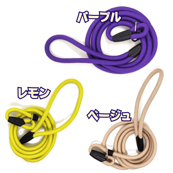 楽天市場】スリップリード 10mm 犬 首輪 付き リード 丈夫 小型犬