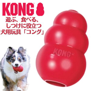   mߋ  KONG RO ^ p  gC  ͂ GT ł VRS Hh~ v[g ObY Ev